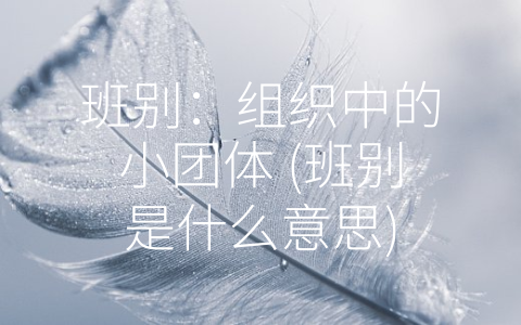 班别：组织中的小团体 (班别是什么意思)