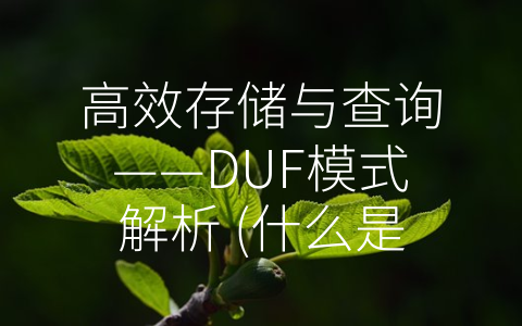 高效存储与查询——DUF模式解析 (什么是DUF模式)