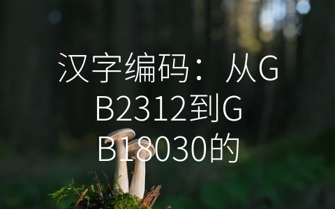 汉字编码：从GB2312到GB18030的演进 (汉字编码有哪些)