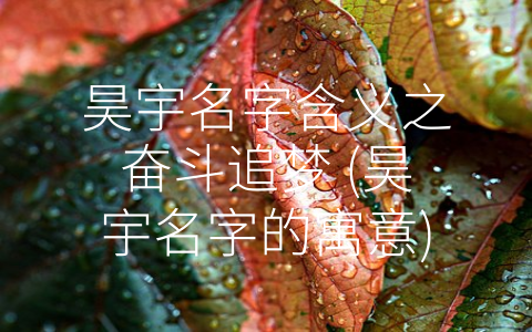 昊宇名字含义之奋斗追梦 (昊宇名字的寓意)