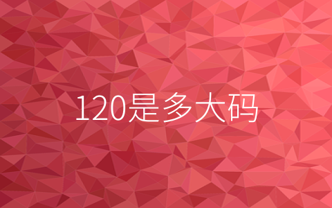 120是多大码