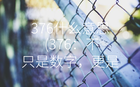 376什么意思 (376：不只是数字，更是一种文化符号)