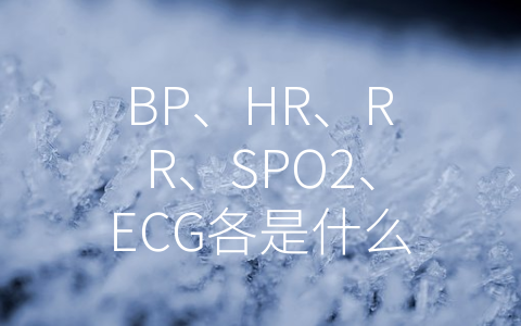 BP、HR、RR、SPO2、ECG各是什么意思