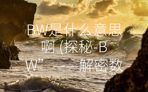 BW是什么意思啊 (探秘-BW”——解密数字领域的神秘密码)
