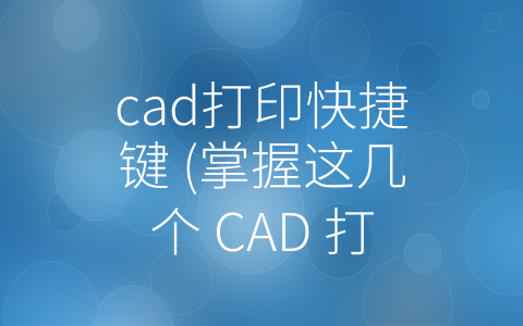 cad打印快捷键 (掌握这几个 CAD 打印快捷键，让你成为高效设计师！)