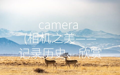 camera (相机之美——记录历史、欣赏大自然、创造力与生活记录)