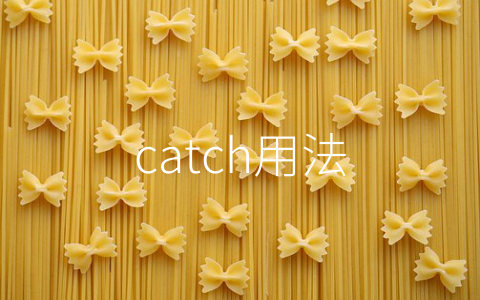 catch用法