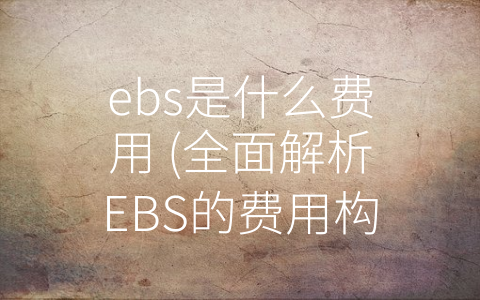 ebs是什么费用 (全面解析EBS的费用构成与收费模式)