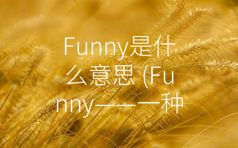 Funny是什么意思 (Funny——一种文化内涵的深度剖析)