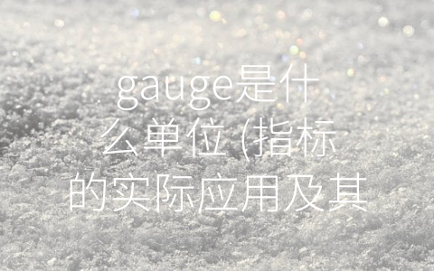 gauge是什么单位 (指标的实际应用及其在物理学中的重要性)