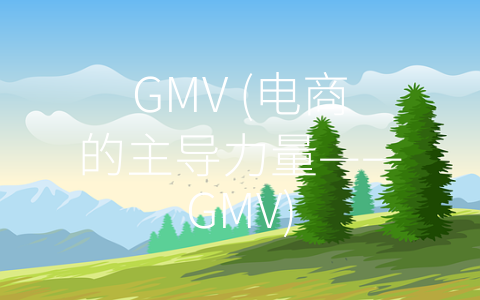 GMV (电商的主导力量——GMV)