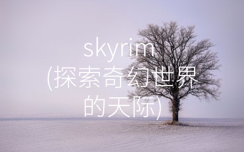 skyrim (探索奇幻世界的天际)