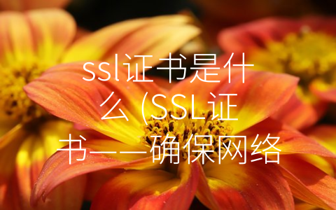 ssl证书是什么 (SSL证书——确保网络安全的加密锁)