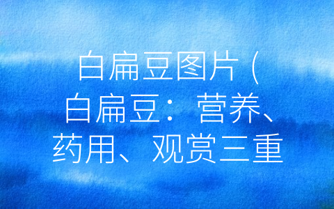 白扁豆图片 (白扁豆：营养、药用、观赏三重价值)