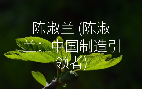 陈淑兰 (陈淑兰：中国制造引领者)