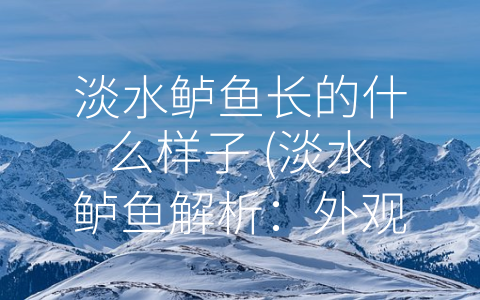 淡水鲈鱼长的什么样子 (淡水鲈鱼解析：外观特征、生活习性及应用价值)