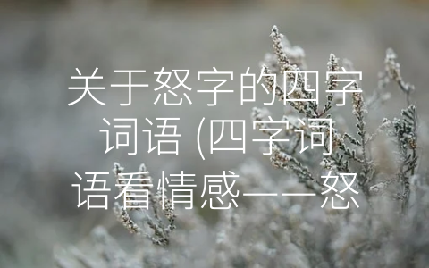 关于怒字的四字词语 (四字词语看情感——怒字别开生面)