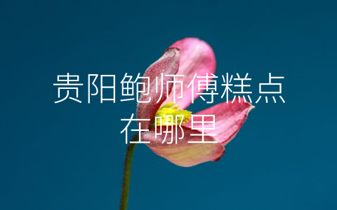 贵阳鲍师傅糕点在哪里