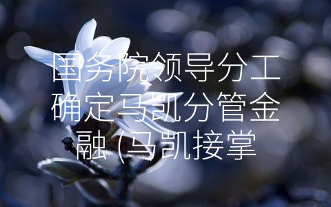 国务院领导分工确定马凯分管金融 (马凯接掌金融大权，稳健、健康、创新发展金融业)