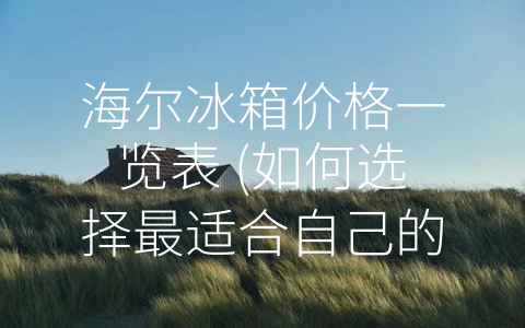 海尔冰箱价格一览表 (如何选择最适合自己的海尔冰箱？一张价格表详解！)