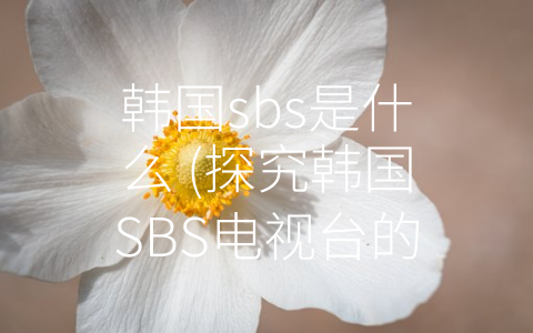 韩国sbs是什么 (探究韩国SBS电视台的震撼魅力)