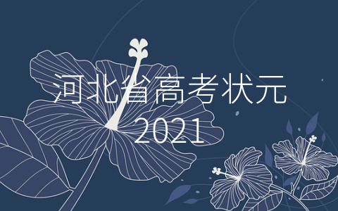 河北省高考状元2021