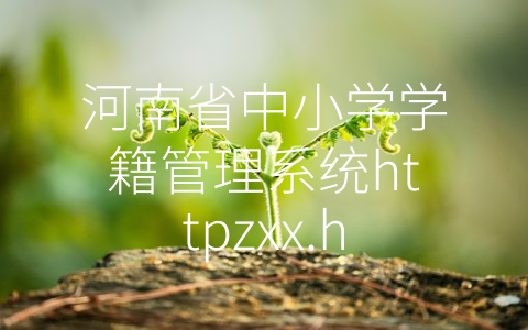 河南省中小学学籍管理系统httpzxx.haedu.cn (数字化教育管理，共创高质量教育新时代)