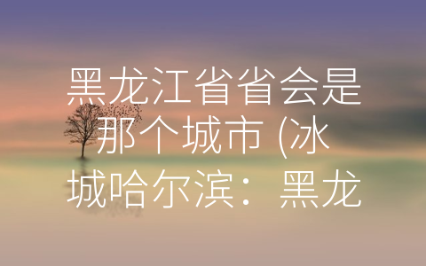 黑龙江省省会是那个城市 (冰城哈尔滨：黑龙江省的省会)