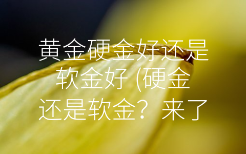 黄金硬金好还是软金好 (硬金还是软金？来了解如何选择合适的黄金投资方式。)