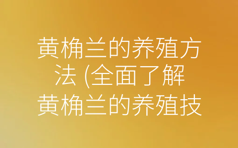 黄桷兰的养殖方法 (全面了解黄桷兰的养殖技巧)