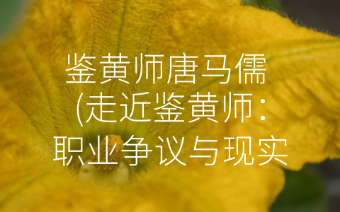 鉴黄师唐马儒 (走近鉴黄师：职业争议与现实挑战)