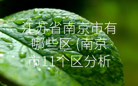 江苏省南京市有哪些区 (南京市11个区分析：有哪些风景，有哪些新派商圈？)