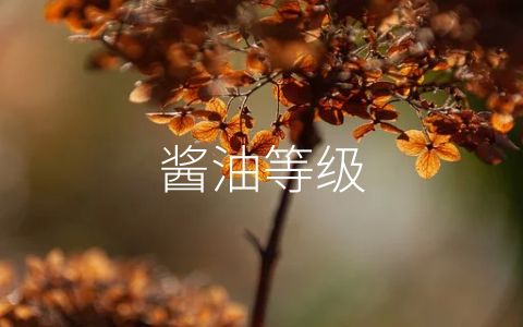 酱油等级