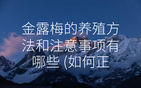 金露梅的养殖方法和注意事项有哪些 (如何正确地养殖金露梅：从土壤、温度到防治病虫害！)