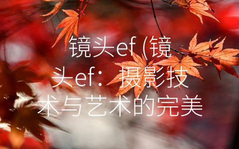 镜头ef (镜头ef：摄影技术与艺术的完美结合)