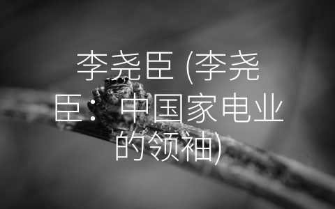 李尧臣 (李尧臣：中国家电业的领袖)