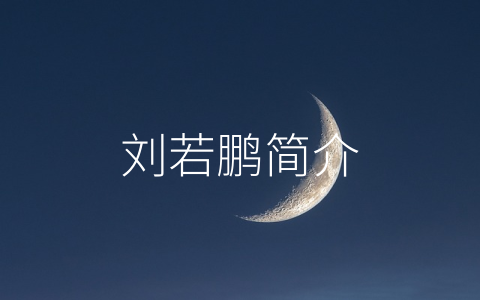 刘若鹏简介