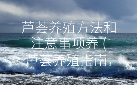 芦荟养殖方法和注意事项养 (芦荟养殖指南，让你轻松打造健康芦荟园)