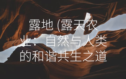 露地 (露天农业：自然与人类的和谐共生之道)