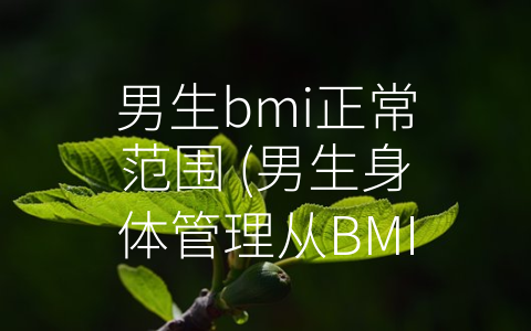 男生bmi正常范围 (男生身体管理从BMI值开始)