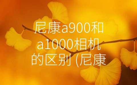 尼康a900和a1000相机的区别 (尼康a900和a1000相机对比：你需要知道哪些不同之处？)