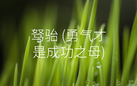 驽骀 (勇气才是成功之母)