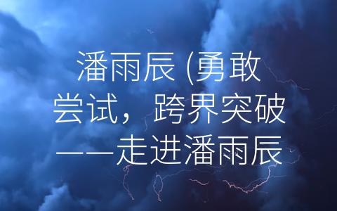 潘雨辰 (勇敢尝试，跨界突破——走进潘雨辰的音乐世界)