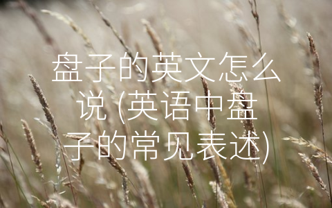 盘子的英文怎么说 (英语中盘子的常见表述)