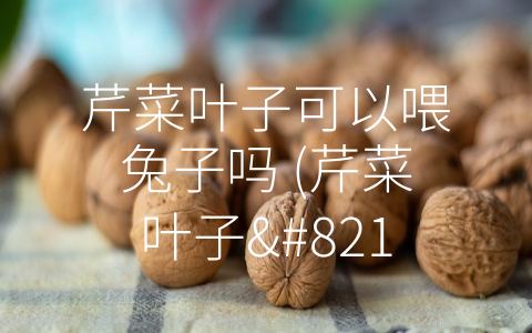 芹菜叶子可以喂兔子吗 (芹菜叶子–兔子饮食中的营养之选)