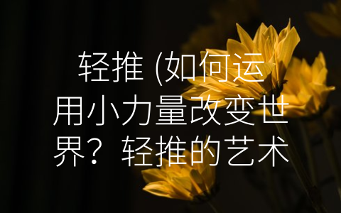 轻推 (如何运用小力量改变世界？轻推的艺术给你答案！)