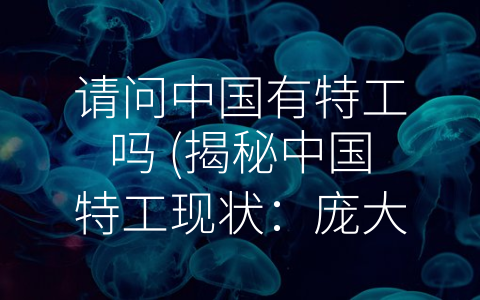 请问中国有特工吗 (揭秘中国特工现状：庞大而强大的队伍在暗中默默保护着祖国安全)