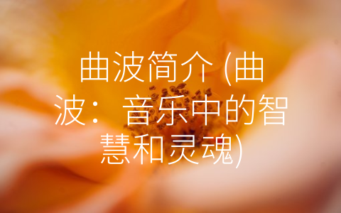 曲波简介 (曲波：音乐中的智慧和灵魂)