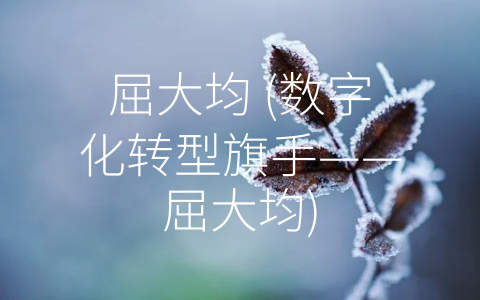 屈大均 (数字化转型旗手——屈大均)