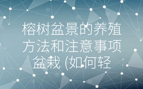 榕树盆景的养殖方法和注意事项盆栽 (如何轻松培育室内美丽的榕树盆景)